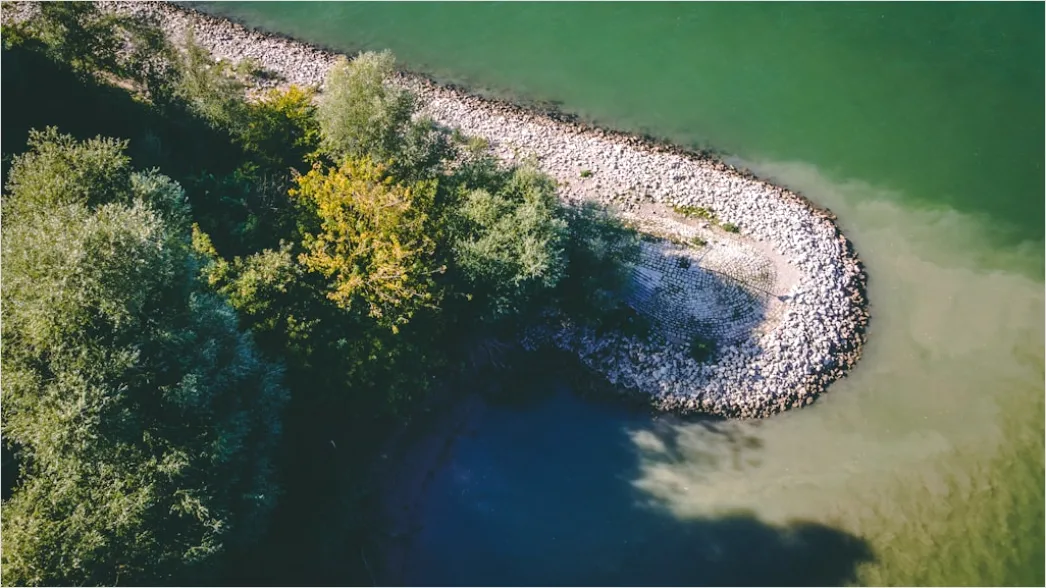 Detail Aerial Lake Shore Number 7