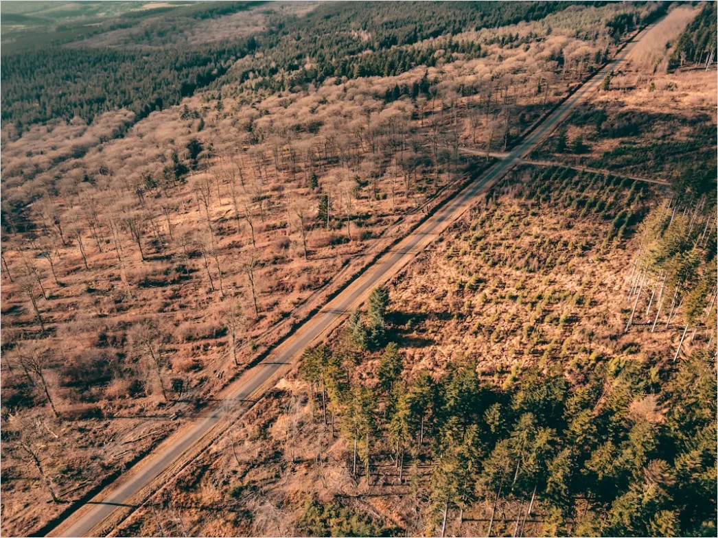 Aerial Logging Deforestation Aerial 7093