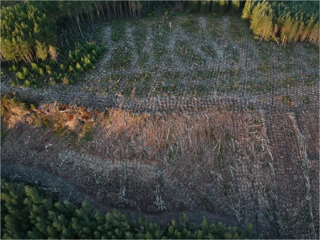 Detail Aerial Logging Deforestation Aerial Number 2