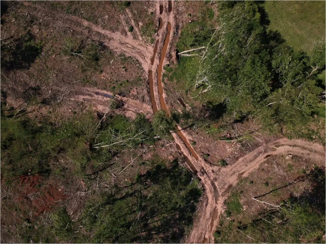 Detail Aerial Logging Deforestation Aerial Number 12