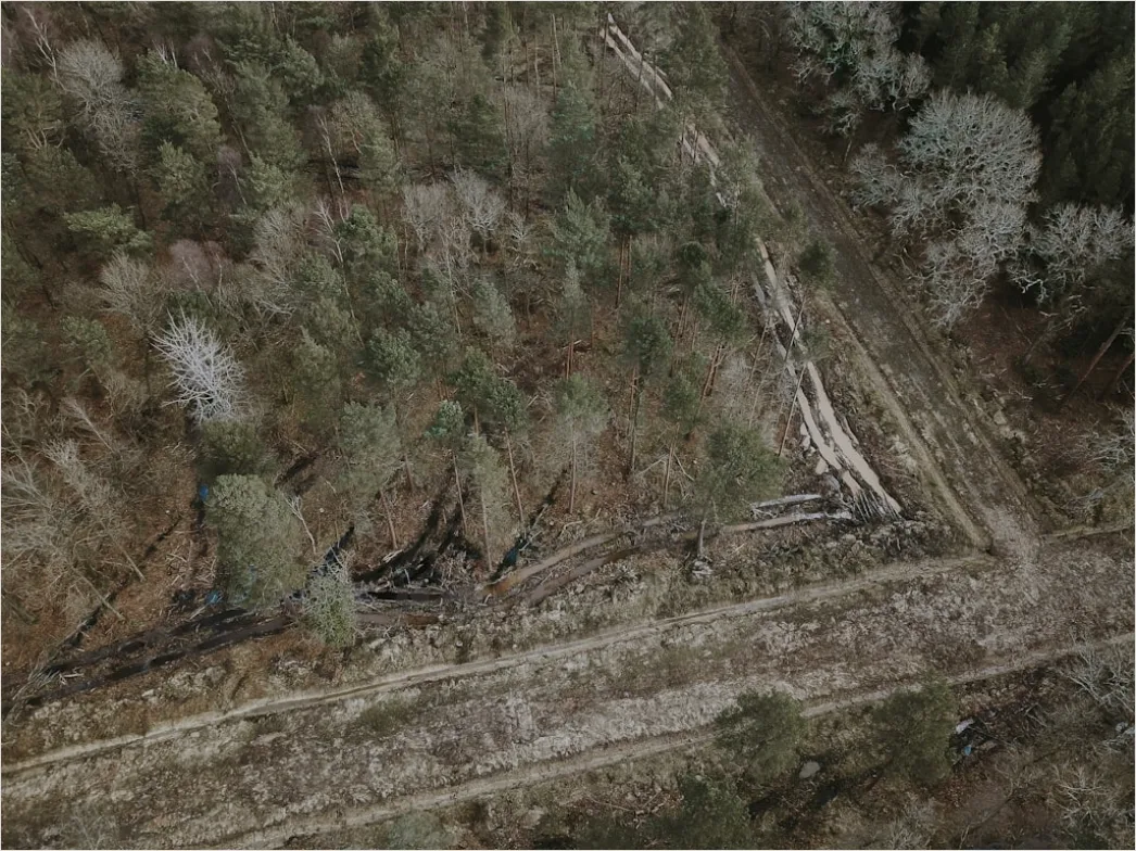 Detail Aerial Logging Deforestation Aerial Number 14