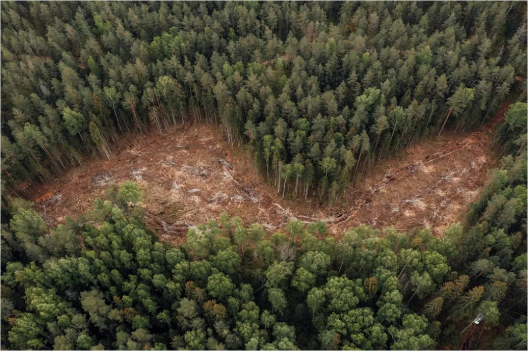 Detail Aerial Logging Deforestation Aerial Number 15