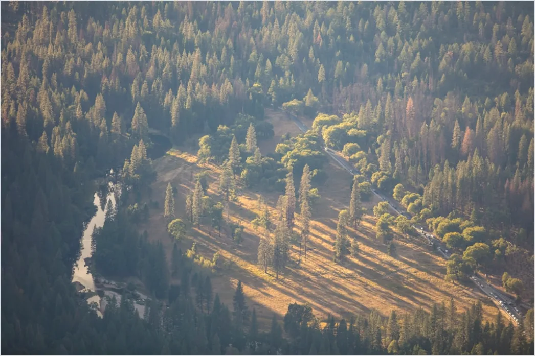 Detail Aerial Logging Deforestation Aerial Number 16