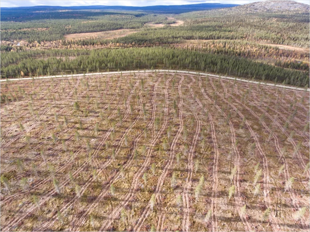 Detail Aerial Logging Deforestation Aerial Number 17