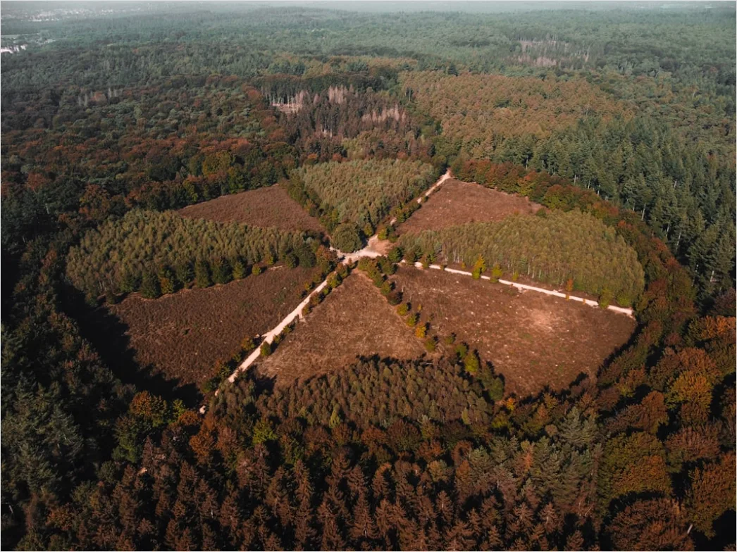 Detail Aerial Logging Deforestation Aerial Number 20