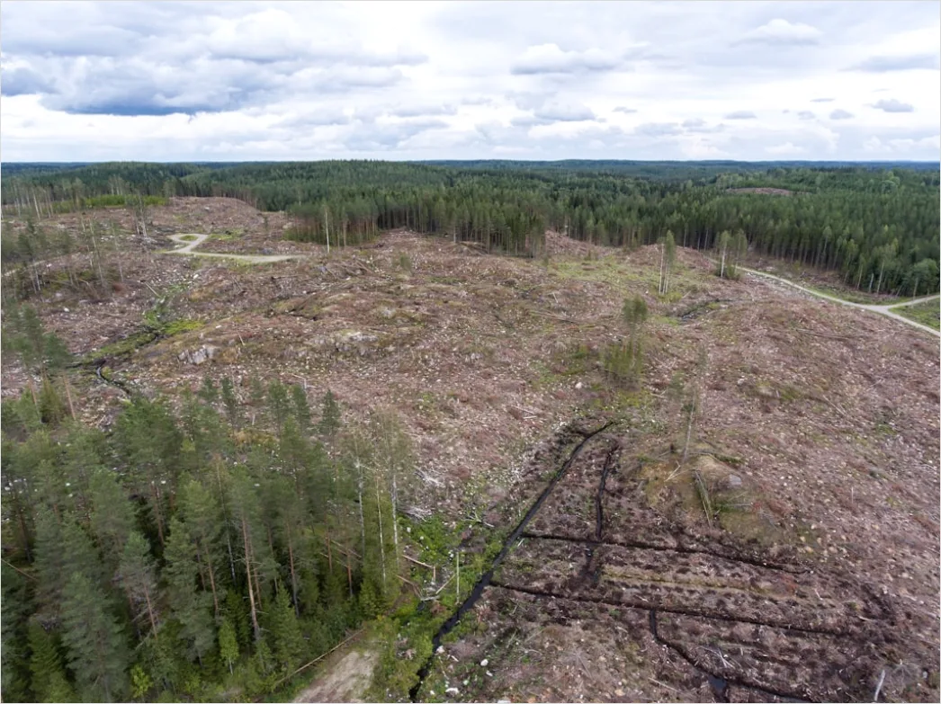 Detail Aerial Logging Deforestation Aerial Number 5