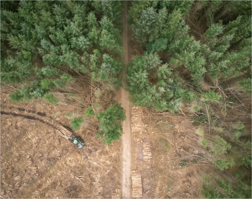 Detail Aerial Logging Deforestation Aerial Number 7