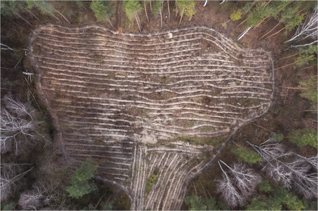 Detail Aerial Logging Deforestation Aerial Number 8
