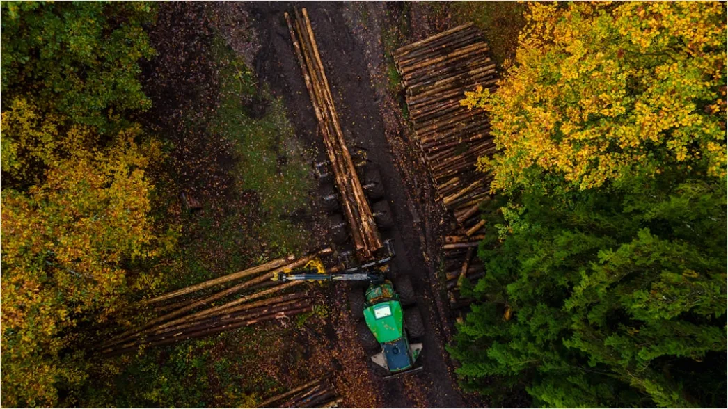Detail Aerial Logging Deforestation Aerial Number 9