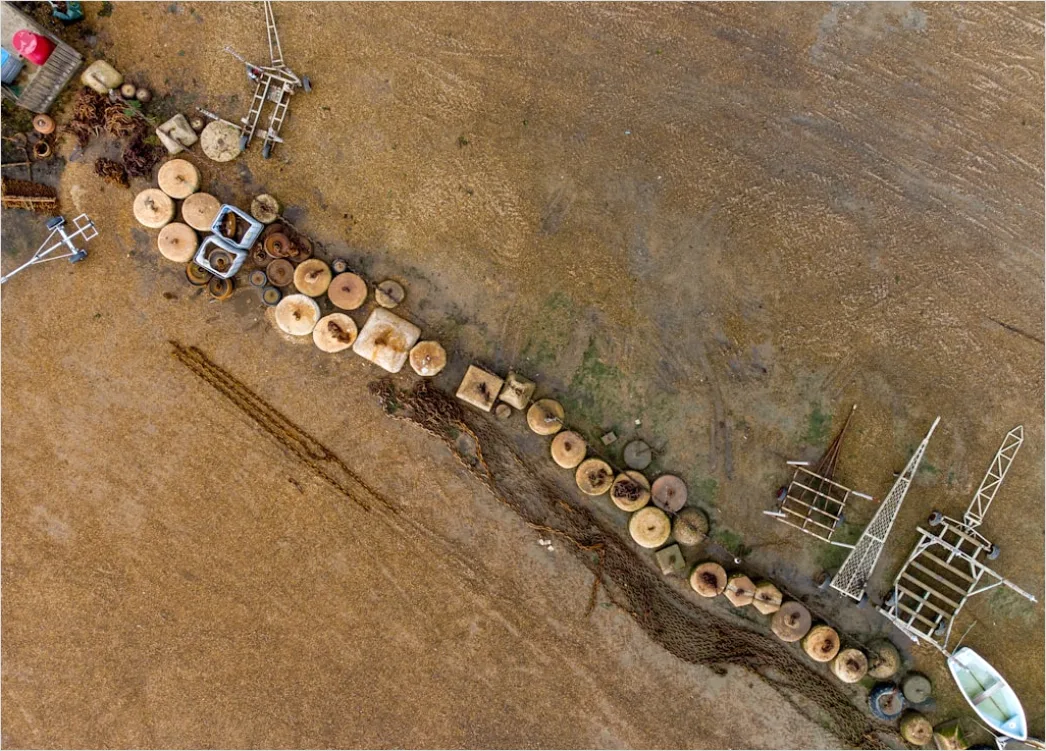 Detail Aerial Logging Deforestation Aerial Number 10