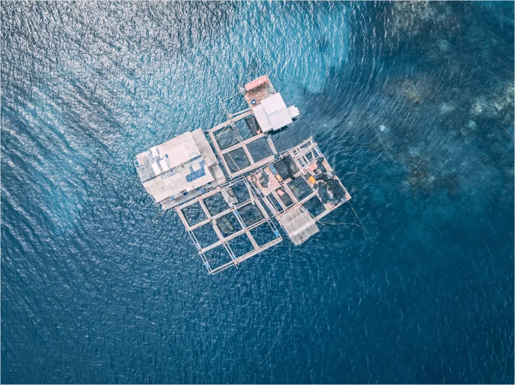 Detail Aerial Offshore Platforms Number 15
