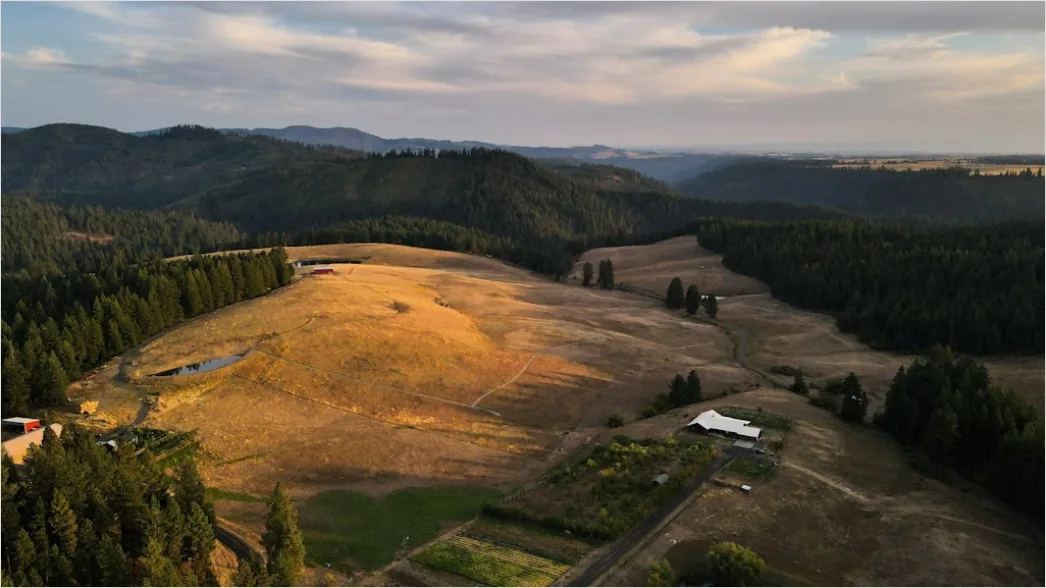 Detail Aerial Reservoir Aerial View Number 8