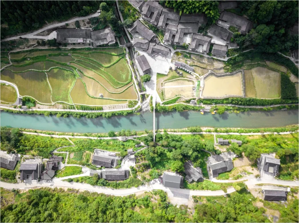 Detail Aerial Rice Terraces Number 13