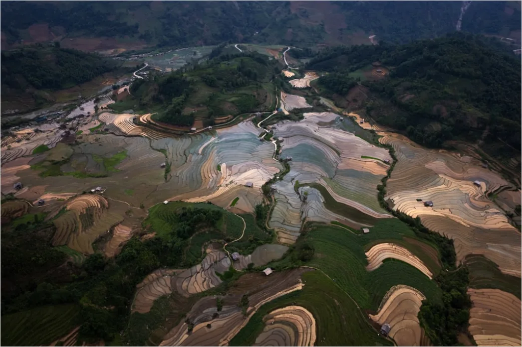 Detail Aerial Rice Terraces Number 15