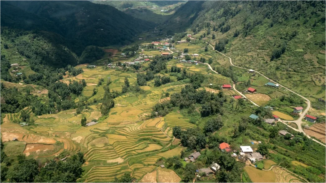 Detail Aerial Rice Terraces Number 9