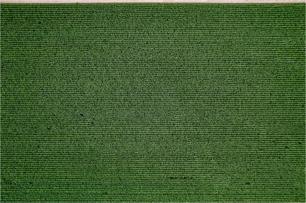 Detail Aerial Rooftop Texture Number 14