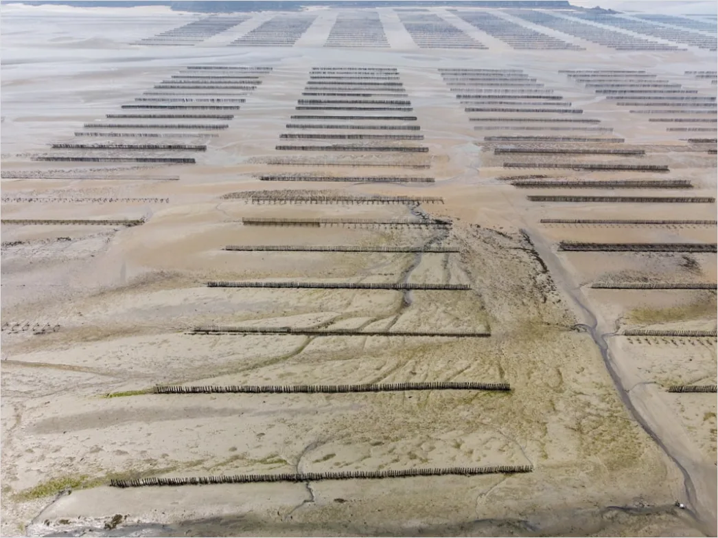 Detail Aerial Salt Flats Patterns Number 14