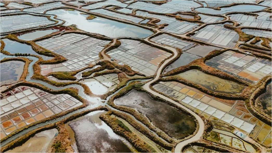 Detail Aerial Salt Flats Patterns Number 16