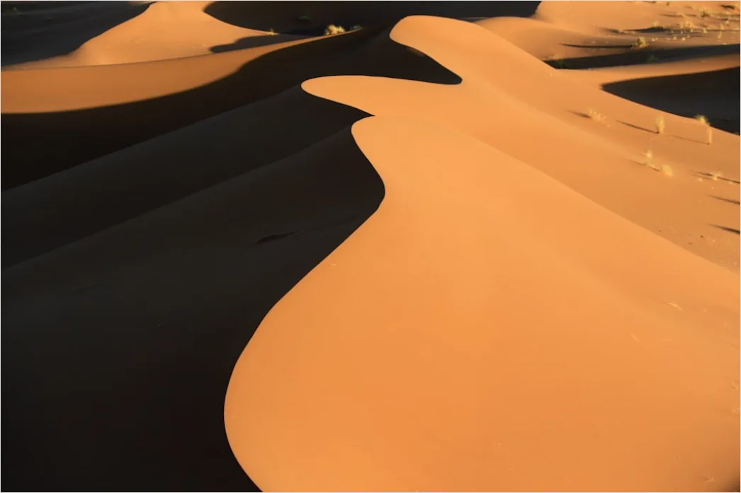 Detail Aerial Sand Dune Patterns Number 2