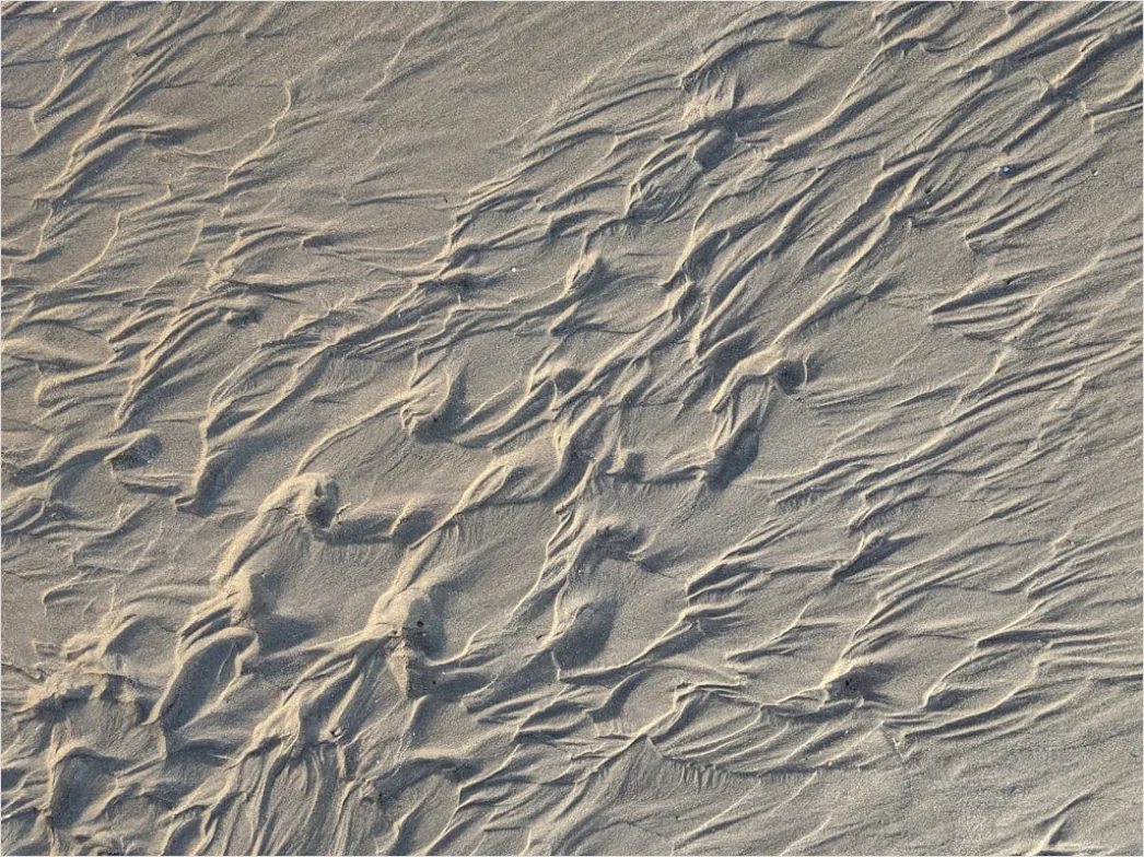 Detail Aerial Sand Dune Patterns Number 18