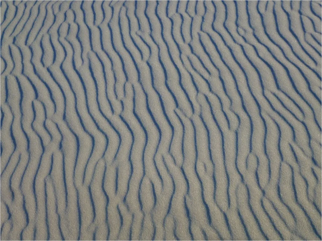 Detail Aerial Sand Dune Patterns Number 19