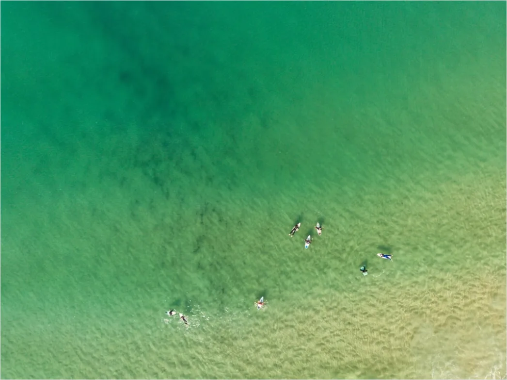 Detail Aerial Surfers Lineup From Above Number 14