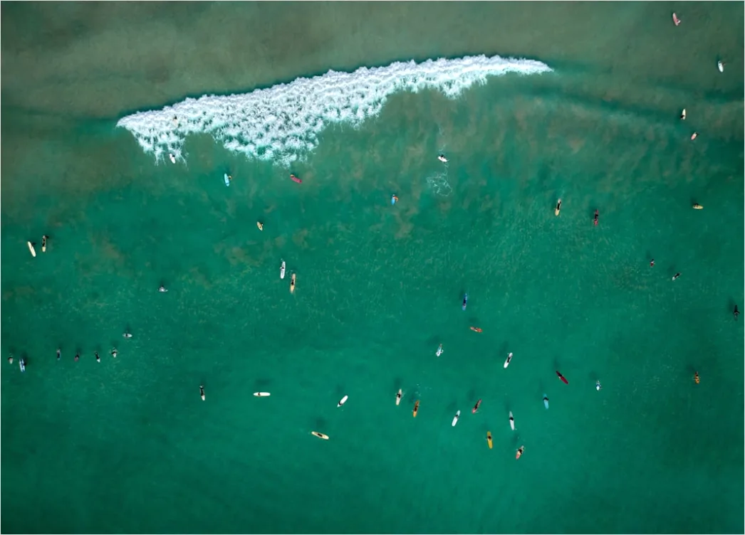 Detail Aerial Surfers Lineup From Above Number 15