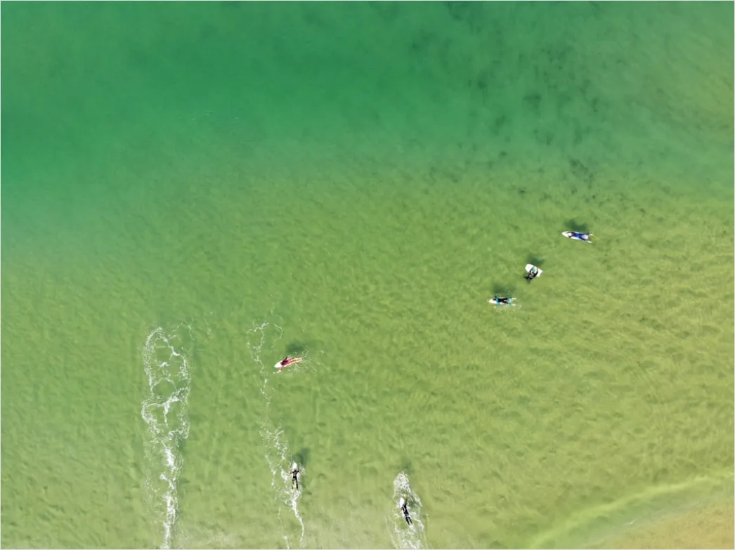 Detail Aerial Surfers Lineup From Above Number 18