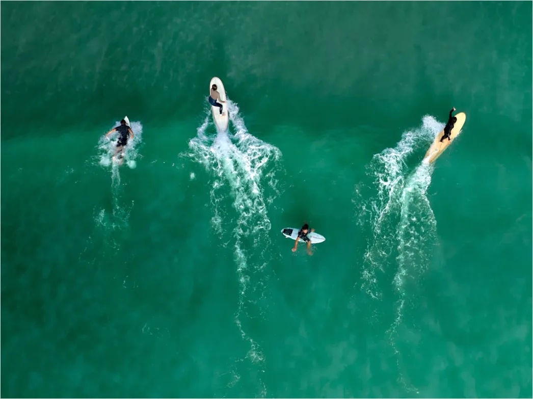 Detail Aerial Surfers Lineup From Above Number 19