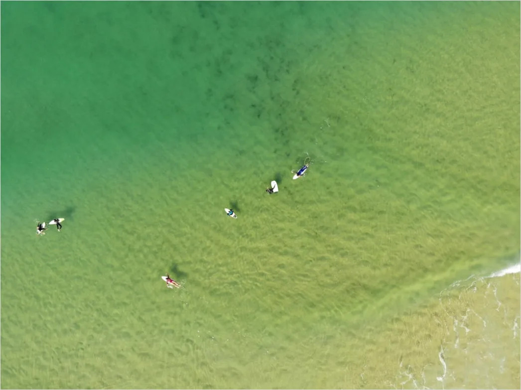 Detail Aerial Surfers Lineup From Above Number 6