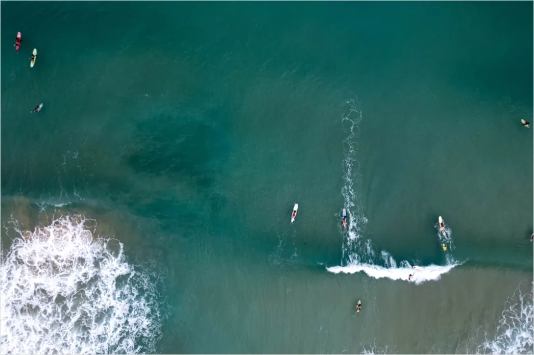 Detail Aerial Surfers Lineup From Above Number 8