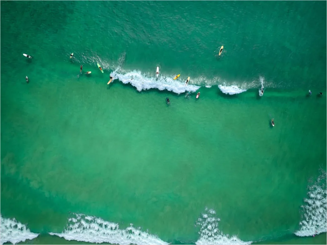 Detail Aerial Surfers Lineup From Above Number 10