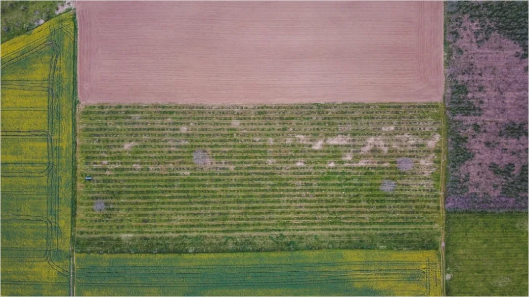 Detail Aerial Textures From Above Number 18