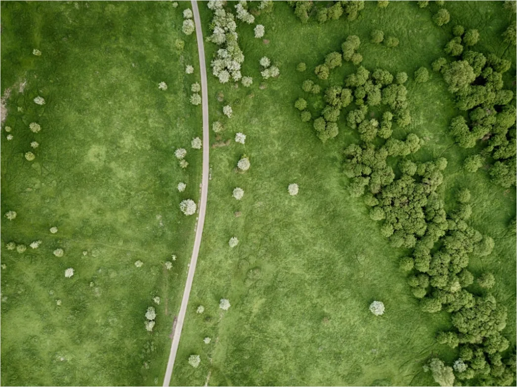 Detail Aerial Textures From Above Number 7