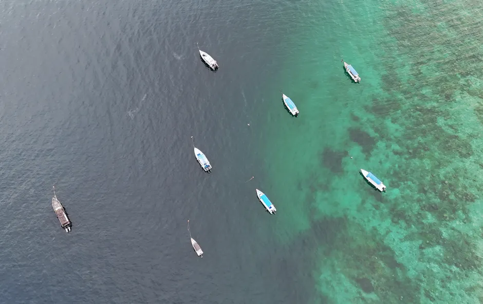 Detail Aerial View Of Boats Number 17
