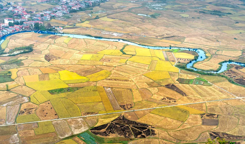 Detail Aerial View Of Farmland Number 12