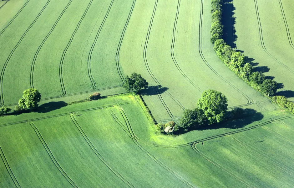 Detail Aerial View Of Farmland Number 14