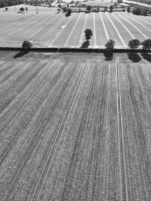 Detail Aerial View Of Farmland Number 15