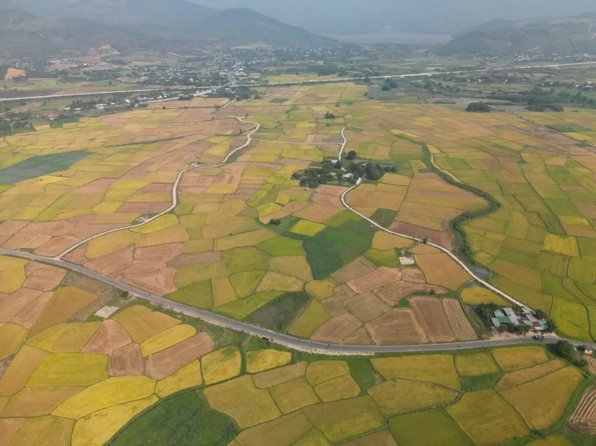 Detail Aerial View Of Farmland Number 17