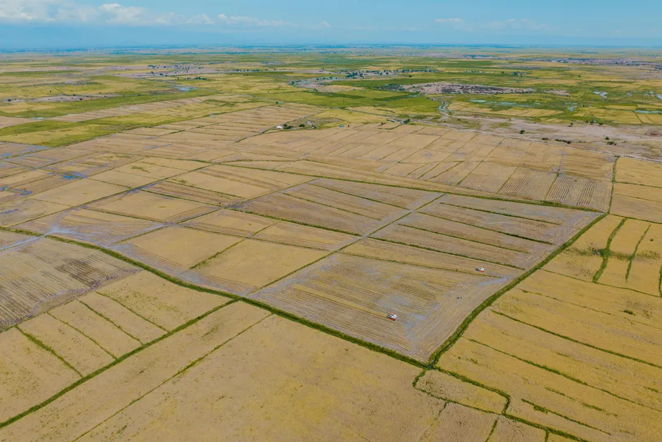 Detail Aerial View Of Farmland Number 4