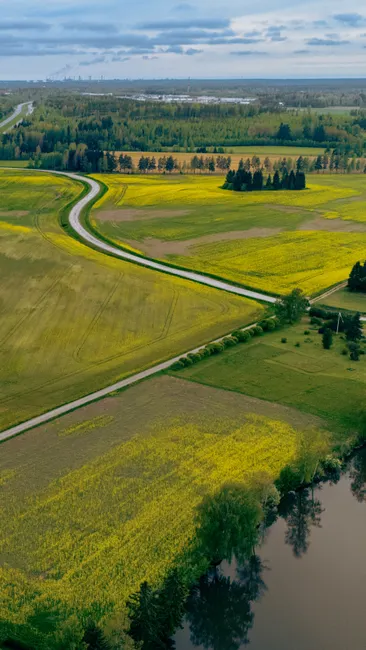 Detail Aerial View Of Farmland Number 7