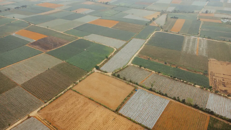 Detail Aerial View Of Farmland Number 8