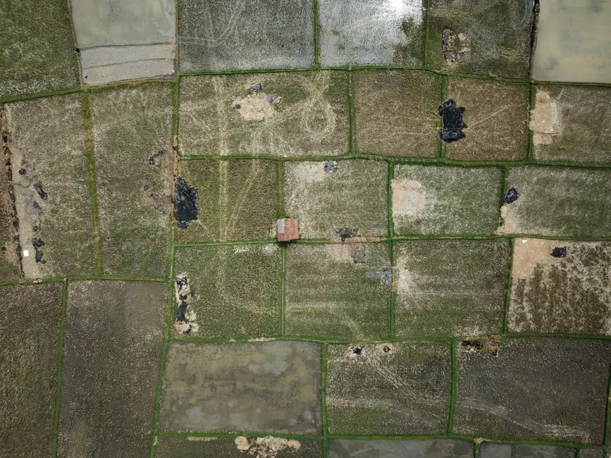 Detail Aerial View Of Fields Number 11