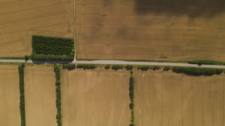 Detail Aerial View Of Fields Number 12