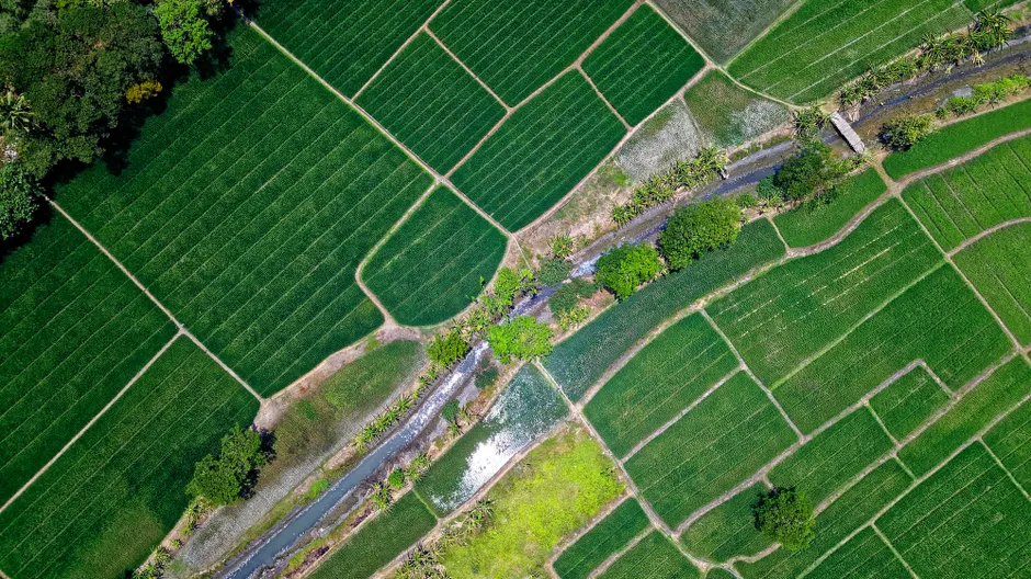 Detail Aerial View Of Fields Number 13