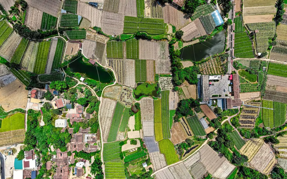 Detail Aerial View Of Fields Number 15