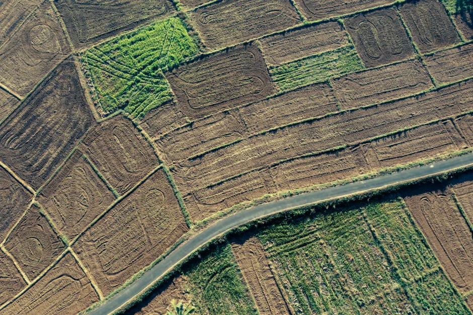 Detail Aerial View Of Fields Number 17