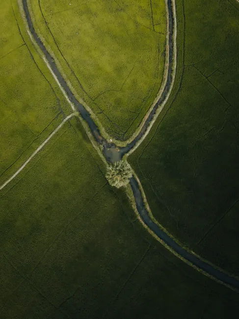 Detail Aerial View Of Fields Number 20