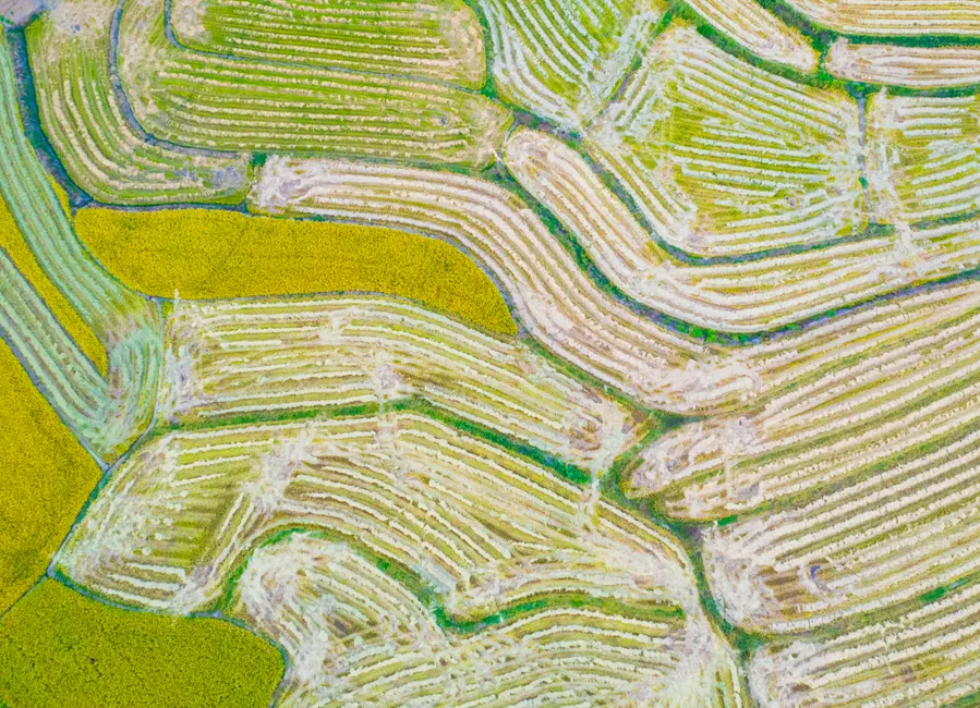 Detail Aerial View Of Fields Number 4