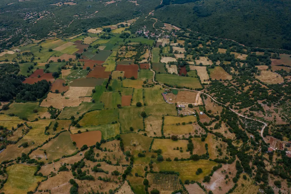 Detail Aerial View Of Fields Number 8